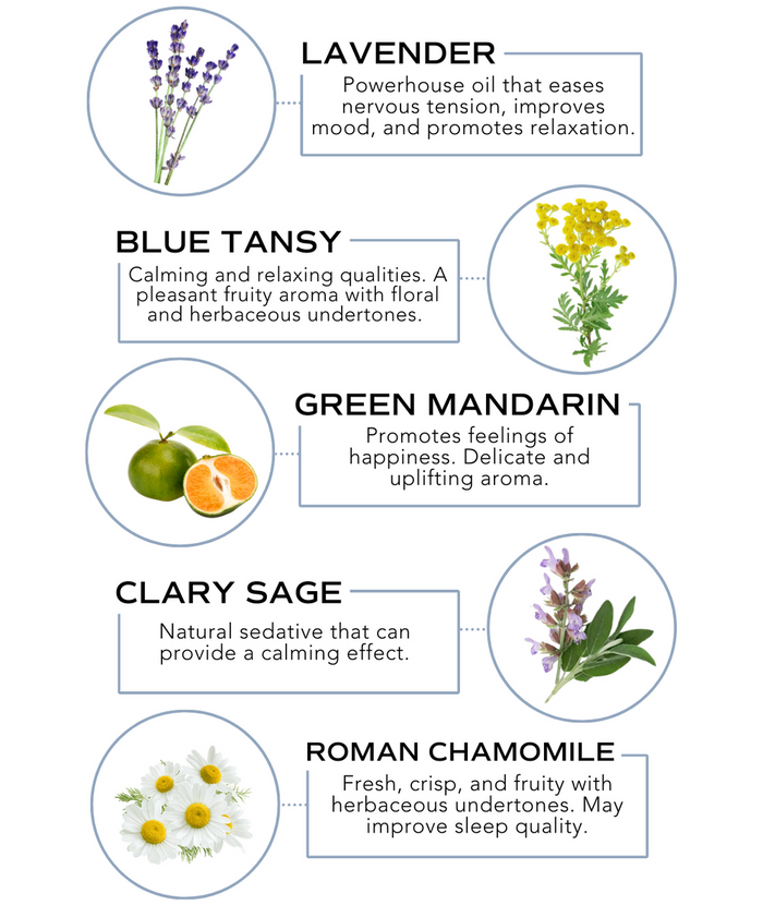 Illustration showing key ingredients of the Sleep Rollerball - Sleep Support | Essence One, including lavender for relaxation, blue tansy with calming aroma, green mandarin for uplifting feelings, clary sage as a natural sedative, and Roman chamomile to improve sleep quality.
