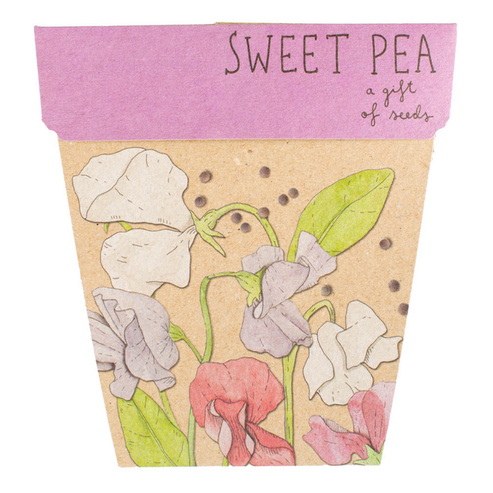 Go-For-Zero-Australia-Sow-n-Sow-Australia-Sweet-Pea-Gift-Front