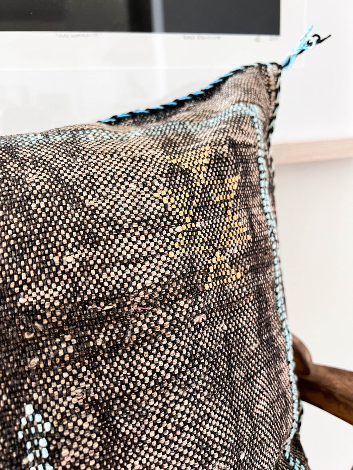 Stone XXXV Moroccan Sabra Cactus Silk Pillow