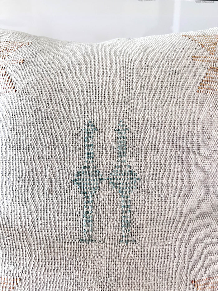Storm XII Moroccan Sabra Cactus Silk Pillow