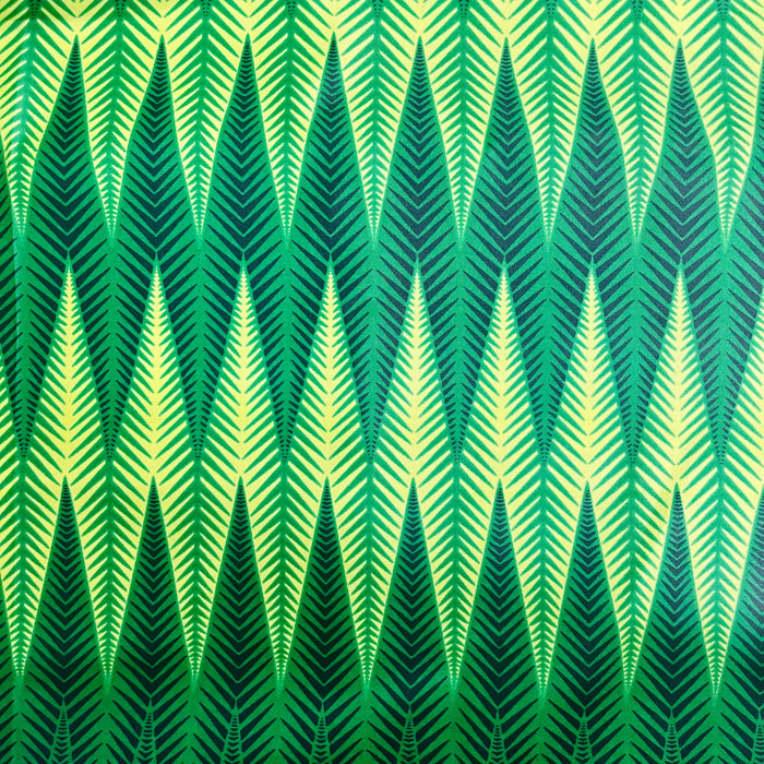 The Chitambala - Pretty Fly For A Cacti - Scarf