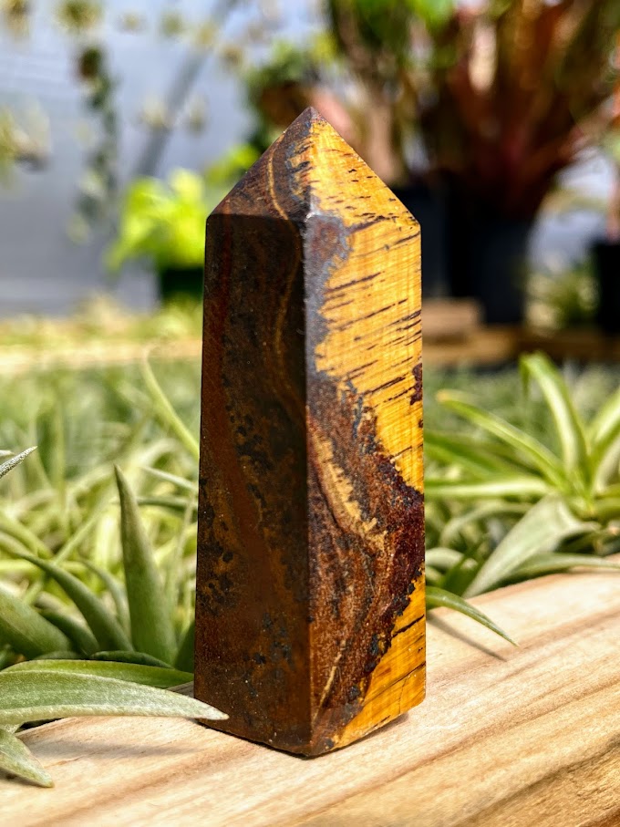 Tigers Eye Crystal Point