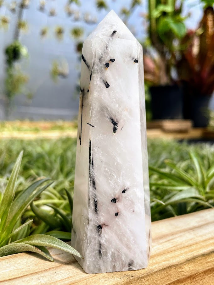 Tourmalinated Quartz Crystal Point