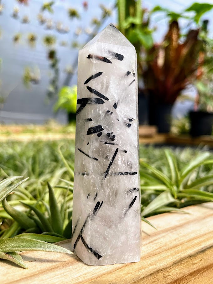 Tourmalinated Quartz Crystal Point
