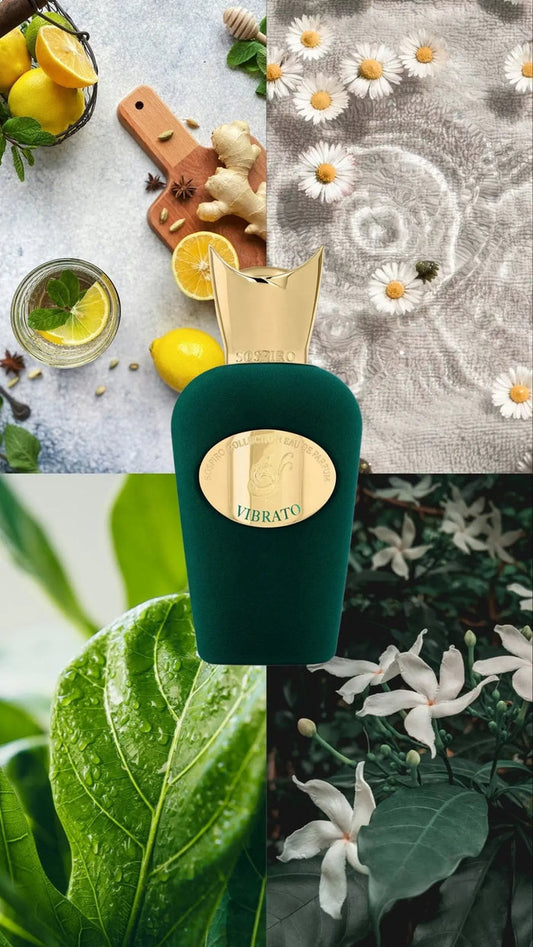 Vibrato - Sospiro - Scentora Belgique — Décant Parfum de Niche