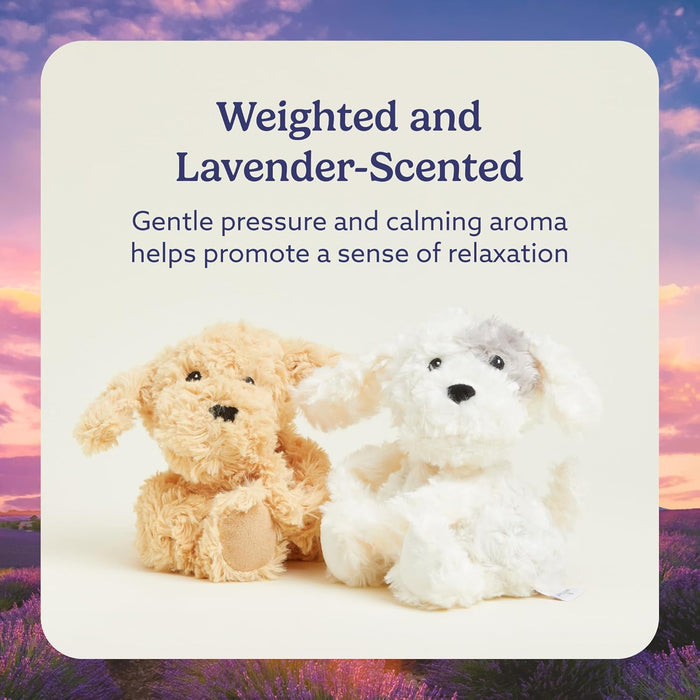 Warmies French Lavendar Hugs Puppy