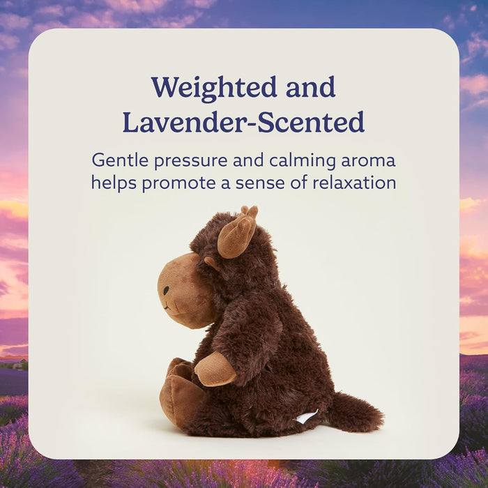 Warmies French Lavender Moose Plush