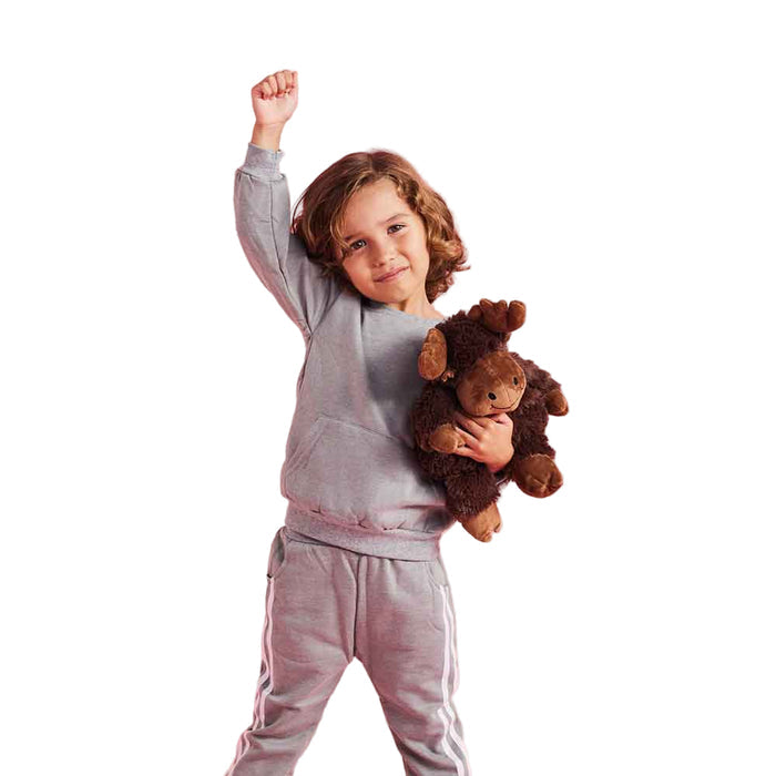 Warmies French Lavender Moose Plush