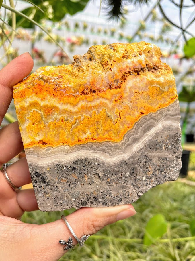 WYSIWYG- Bumblebee Jasper Slab