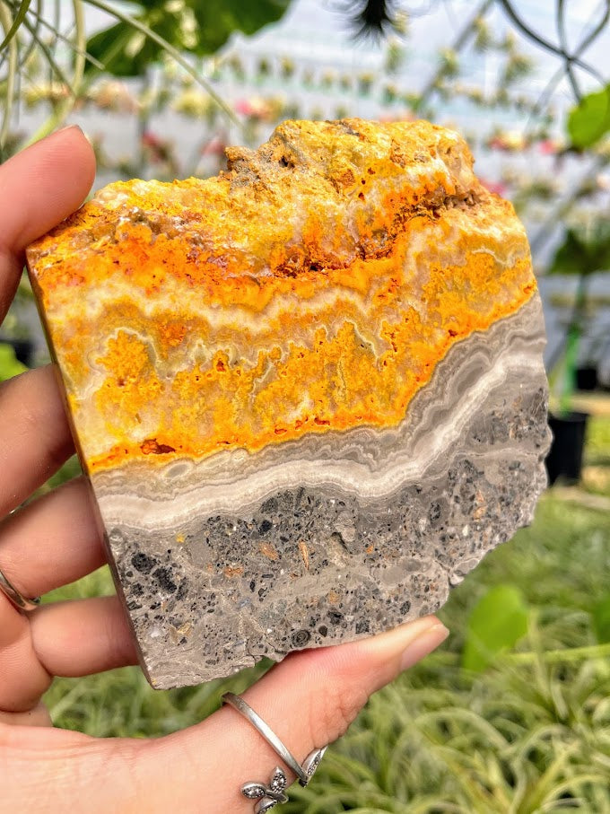 WYSIWYG- Bumblebee Jasper Slab