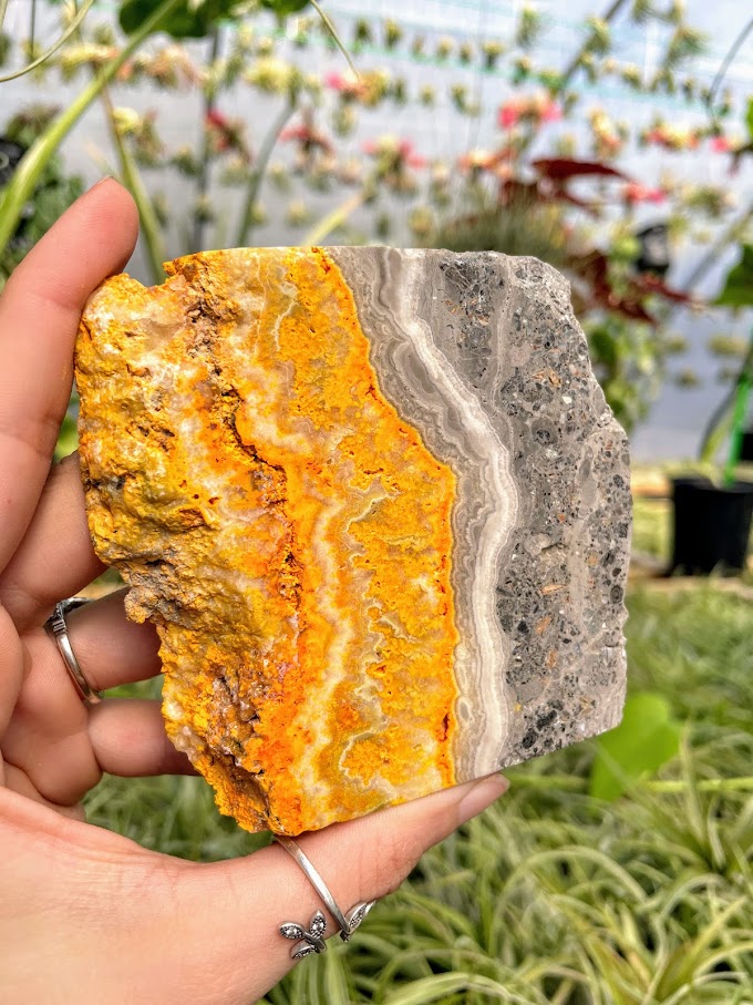 WYSIWYG- Bumblebee Jasper Slab
