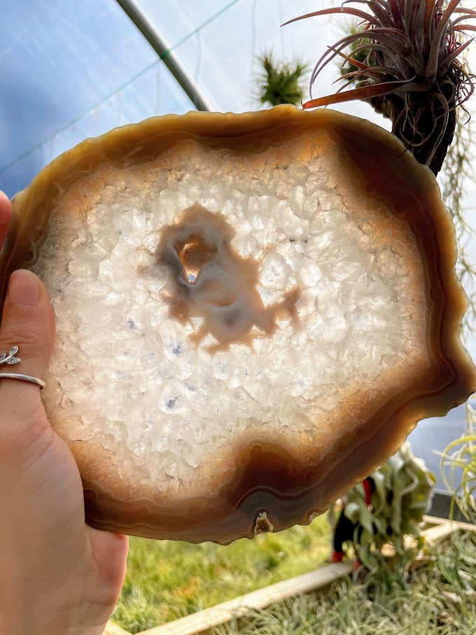 WYSIWYG- Druzy Agate Slab