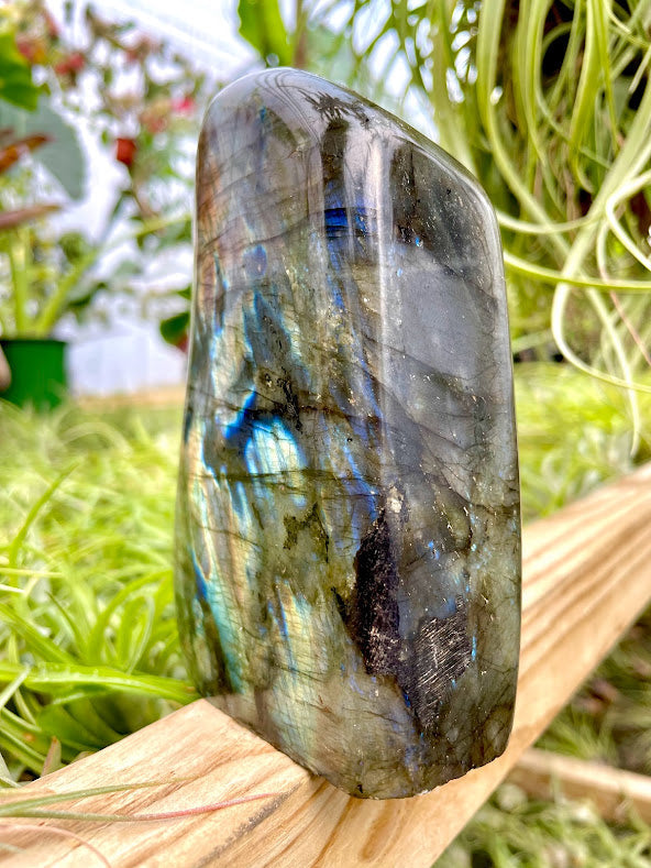WYSIWYG- Labradorite Freeform